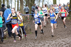 Girls under-13s 2018 British Inter Counties Cross Country Champs., Prestwold Hall, Loughborough. Photo: David T. Hewitson/Sports for All Pics